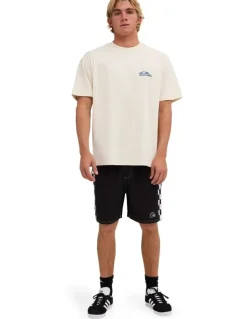 Quiksilver Quik Core Oversized T-Shirt In Bone White