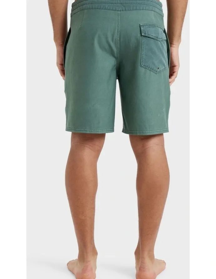 Quiksilver Surfsilk 18 Boardshorts in Green