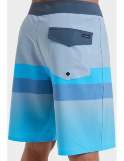 Quiksilver Surfsilk Straight 18 Boardshorts in Blue