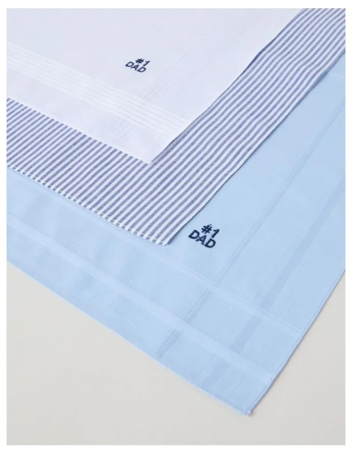 Regatta 3pk Hankies #1 Dad in Multi