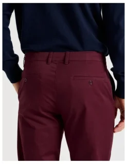 Regatta Chino Pant in Burgundy