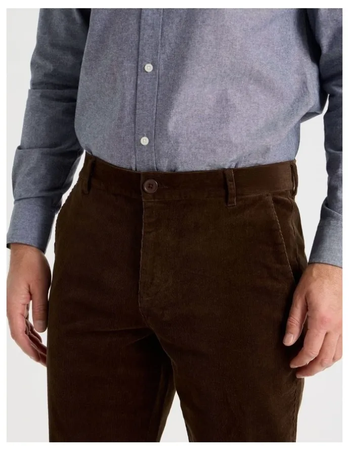 Regatta Corduroy Pant in Brown