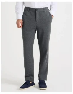 Regatta Textured Pant in Charcoal