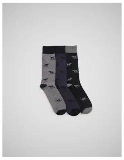 Rodd & Gunn Dogs-A-Plenty Socks 3 Pack in Work Mult
