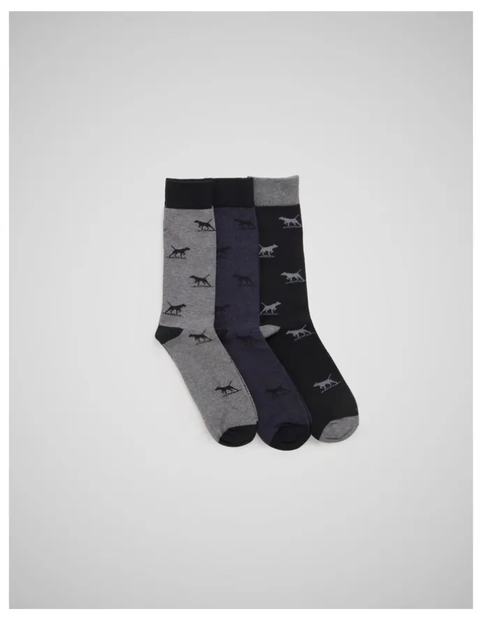 Rodd & Gunn Dogs-A-Plenty Socks 3 Pack in Work Mult