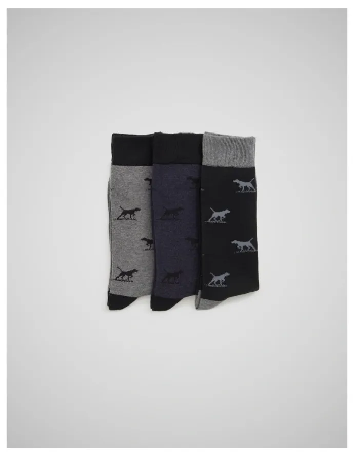 Rodd & Gunn Dogs-A-Plenty Socks 3 Pack in Work Mult