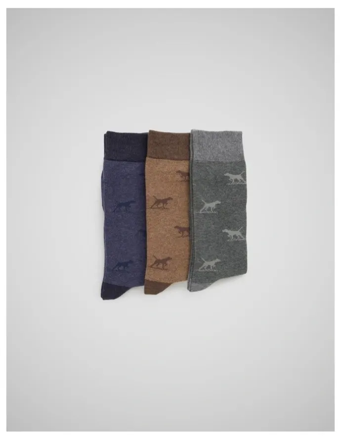 Rodd & Gunn Dogs-A-Plenty Three Pack Socks in Washed Mu