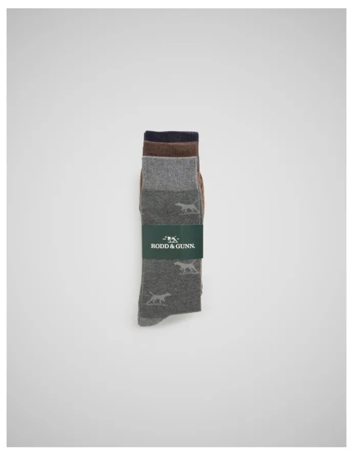 Rodd & Gunn Dogs-A-Plenty Three Pack Socks in Washed Mu