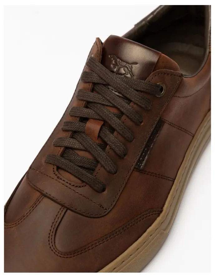 Rodd & Gunn Treble Sneaker in Redwood
