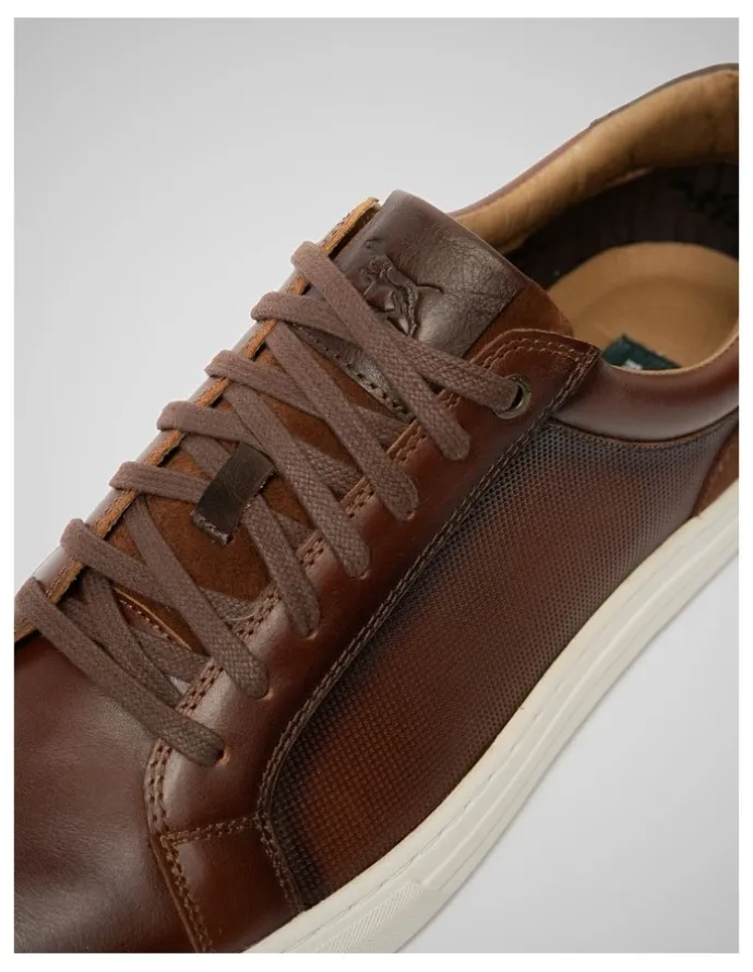 Rodd & Gunn Transit Sneaker in Chestnut