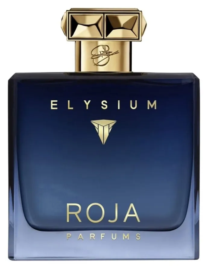 Roja Elysium Pour Homme Cologne 100ml