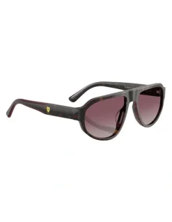 Scuderia Ferrari Acetate Polarised Sunglasses in Tortoise