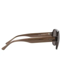 Unofficial Injected Polarised Sunglasses in Brown