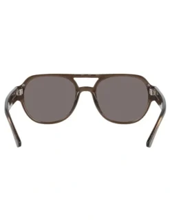 Unofficial Injected Polarised Sunglasses in Brown