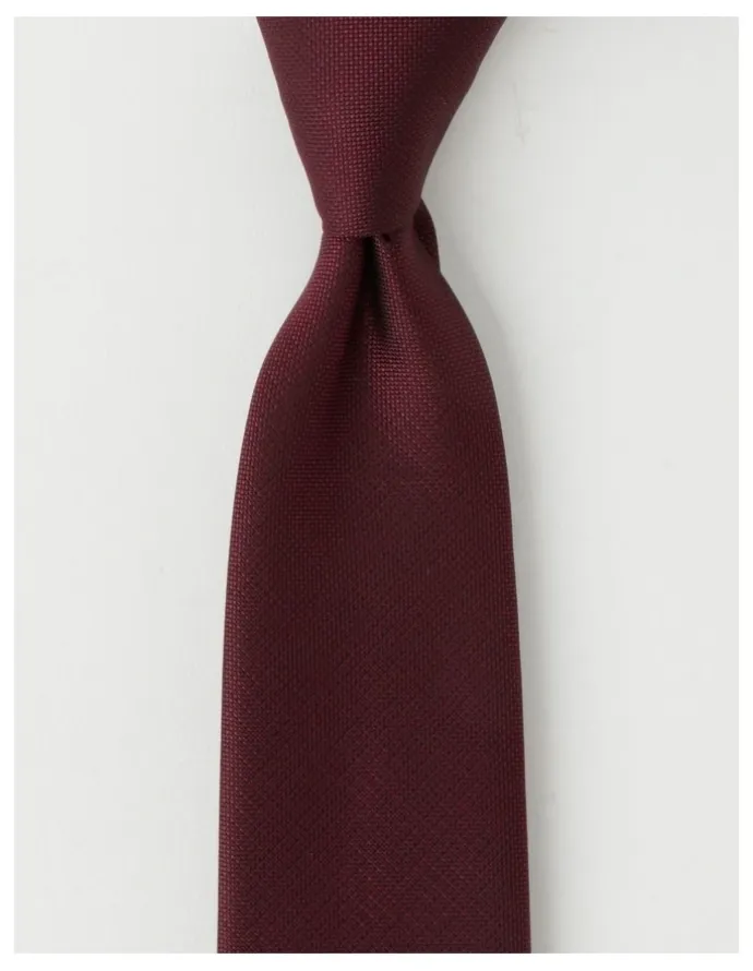 Van Heusen Plain Tie in Burgandy