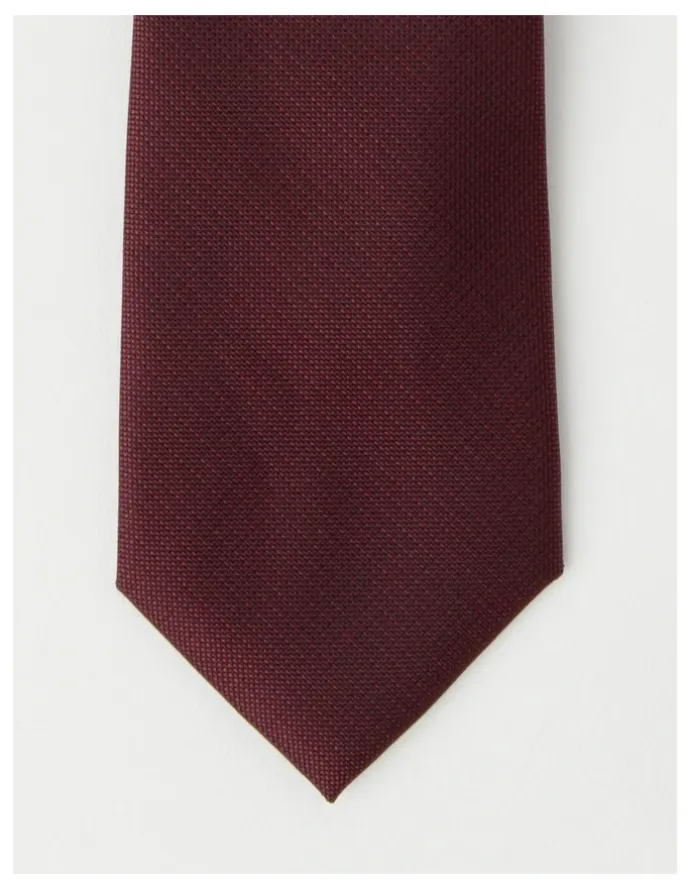 Van Heusen Plain Tie in Burgandy