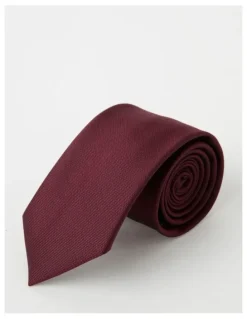 Van Heusen Plain Tie in Burgandy