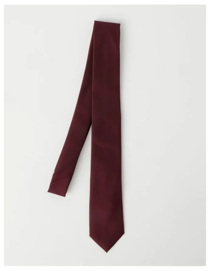 Van Heusen Plain Tie in Burgandy