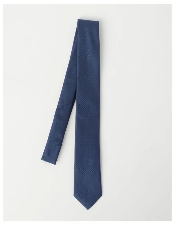 Van Heusen Plain Tie in Navy