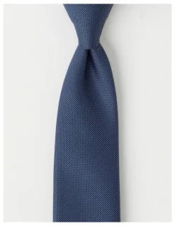 Van Heusen Plain Tie in Navy