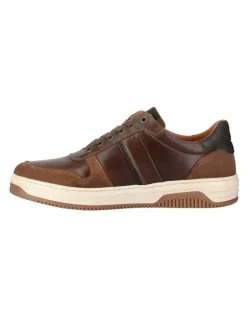 Wild Rhino Sahara Sneaker in Brown